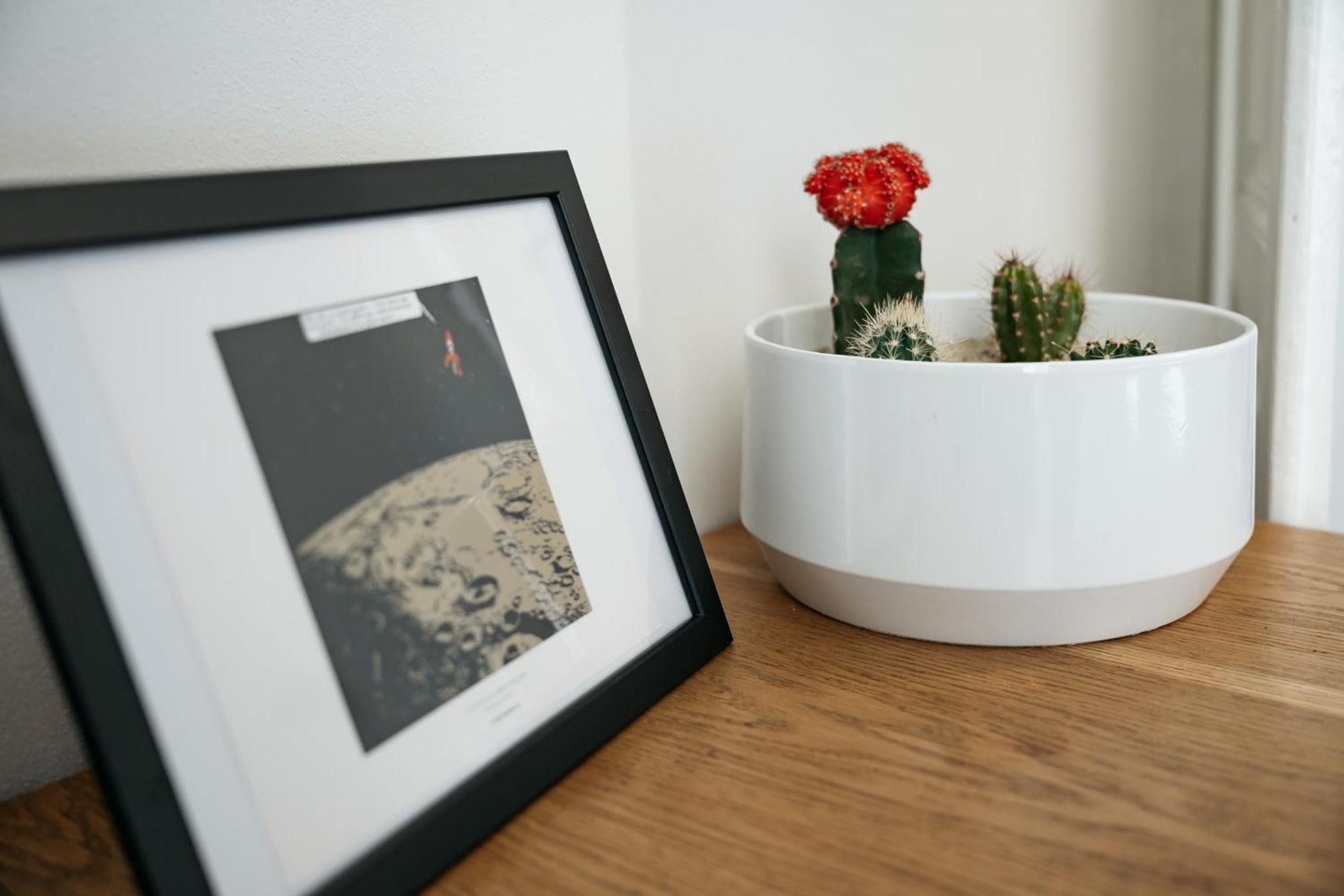 Comfortable And Cosy Apt A Few Steps From Dancing House And Naplavka Dance Prag Dış mekan fotoğraf